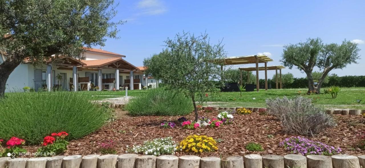 مارينا دي غروسيتو Residence La Pace - Pool & Relax المظهر الخارجي الصورة